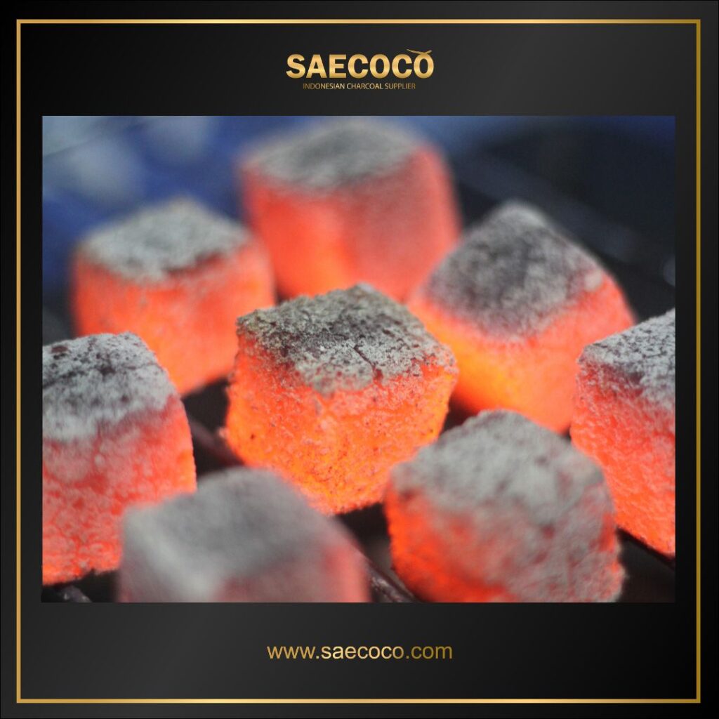 Indonesia Coconut Charcoal Briquette